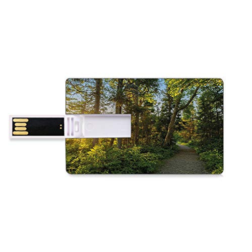 8GB USB Flash Thumb Drives Landscape Bank Credit Card Shape Business Key U Disk Memory Stick Storage National Park in Cape Breton Highlands Canada Forest Path Trees Tranquility Photo Personalized GIF