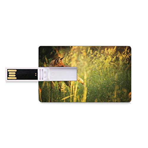 8GB USB Flash Thumb Drives Fox Bank Credit Card Shape Business Key U Disk Memory Stick Storage Fox in The Summer Forest Fresh Meadow Grass Wilderness Vixen Mammal Nature,Orange Yellow Green Personali