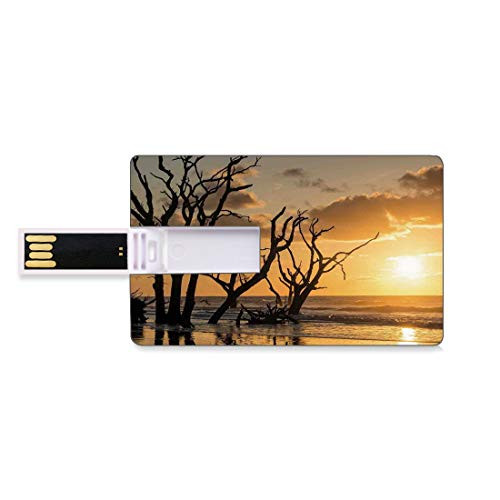8GB USB Flash Thumb Drives Driftwood Decor Bank Credit Card Shape Business Key U Disk Memory Stick Storage Sea Theme Sunrise at Beach Trees Without Leaves and Cloudy Sky Digital Image,Orange Personal