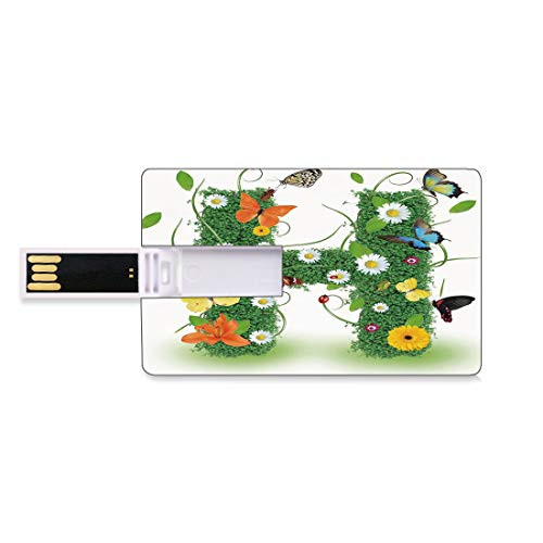 8GB USB Flash Thumb Drives Letter H Bank Credit Card Shape Business Key U Disk Memory Stick Storage Ornamental H with Summer Effects and Dahlia Ladybug Daisy Initials Artsy Concept,Multicolor Persona