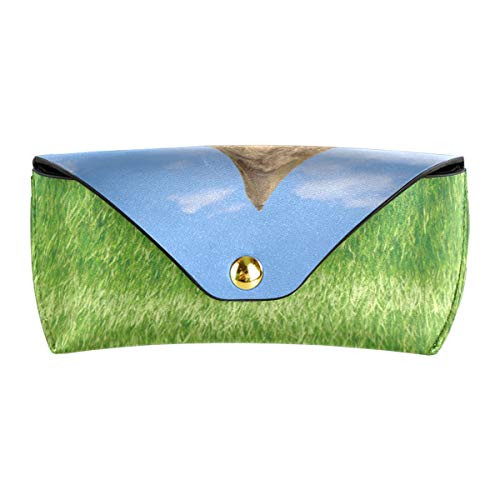 Sunglasses Case Travel Eyeglasses Pouch Multiuse Portable Green Grass Hut Rice Field Blue Sky Clouds Goggles Bag PU Leather