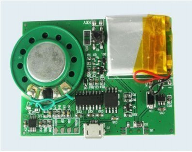 Electronics123.com, Inc. Greeting Card Sound Module Activated by Button
