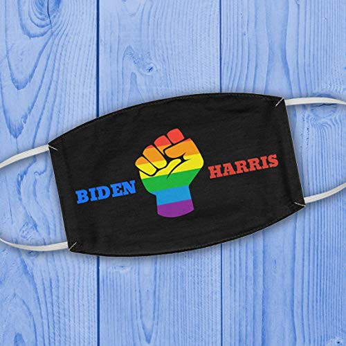 Biden Harris Mask - Biden Harris 2020 - LGBTQ - Democratic Party Election - Joe Biden - Kamala Harris Fabric Cloth Face Mask