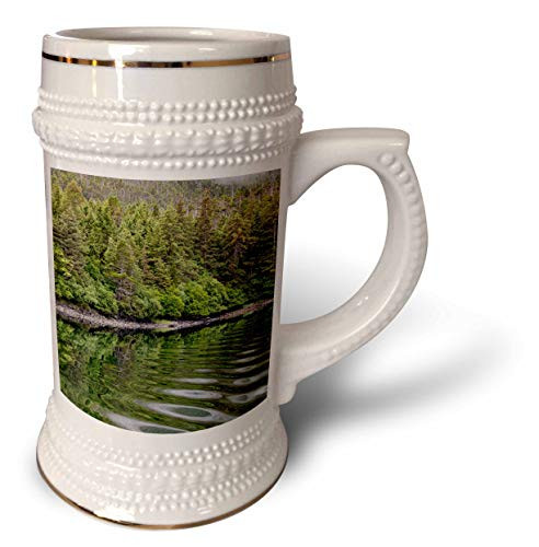 3dRose USA, Alaska, Tongass National Forest. Boat wake in Mirror. - 22oz Stein Mug -stn-345818-1-