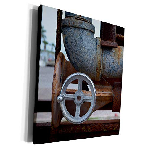 3dRose Susans Zoo Crew Florida - Pipe Wheel Rusting Metal Steampunk - Museum Grade Canvas Wrap -cw-216009-1-