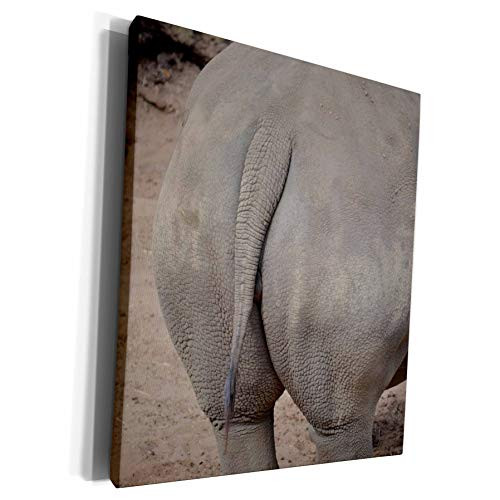 3dRose Susans Zoo Crew Animal - rhino butt rhiocerous - Museum Grade Canvas Wrap -cw-294171-1- 3dRose Susans Zoo Crew Animal - rhino butt rhiocerous - Museum Grade Canvas Wrap -cw-294171-1-