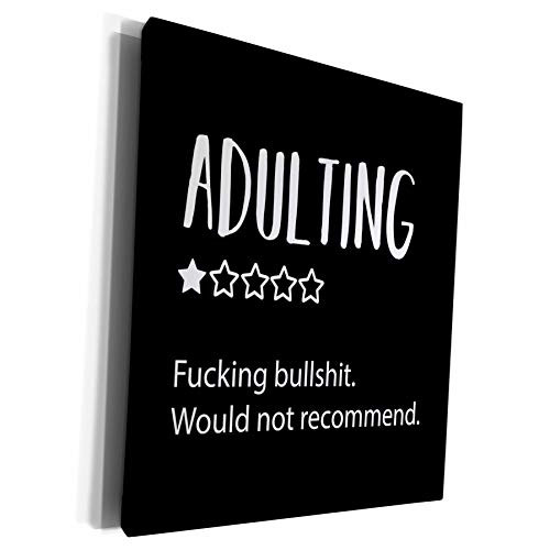 3dRose Adulting 1 star Fucking Bullshit. Would not. - Museum Grade Canvas Wrap -cw-336638-1-