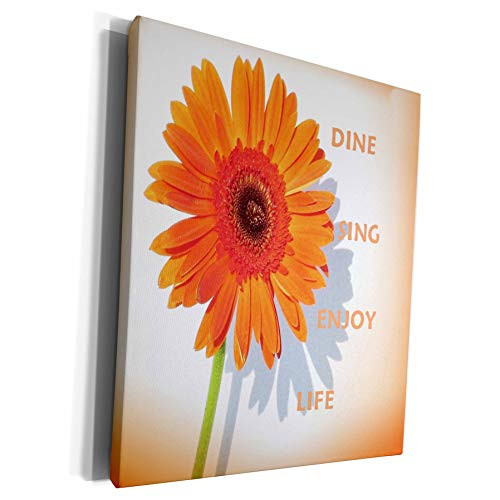 3dRose Florene Flower - Orange Daisy With Message On Orange n White Background - Museum Grade Canvas Wrap -cw-62176-1-