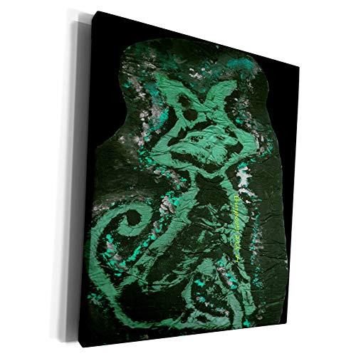 3dRose Yves Creations Krazy Kool Kat - Krazy Kool Kat In Green Blue - Museum Grade Canvas Wrap -cw-6983-1-