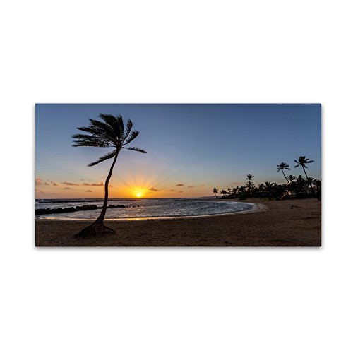 Trademark Fine Art Poipu Sunset by Pierre Leclerc, 10x19-Inch Canvas Wall Art Trademark Fine Art Poipu Sunset by Pierre Leclerc, 10x19-Inch Canvas Wall Art
