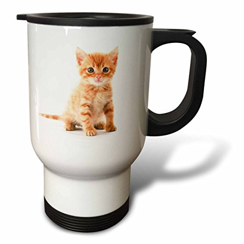 3dRose tm_44771_1 Cute Orange Tabby Kitten Travel Mug, 14-Ounce, Stainless Steel