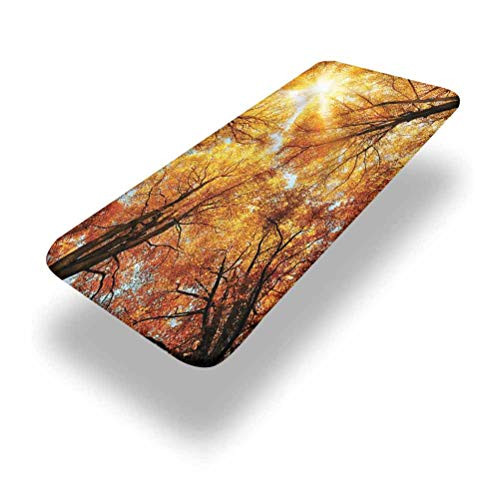 LCGGDB Forest Polyester Picnic Table Fitted Tablecloth Cover,Autumn Sunbeams Forest Elastic Edged Fitted Table Cloth,24in x 48in -4ft-,for Camping, Dining, Outdoor, Park, Patio