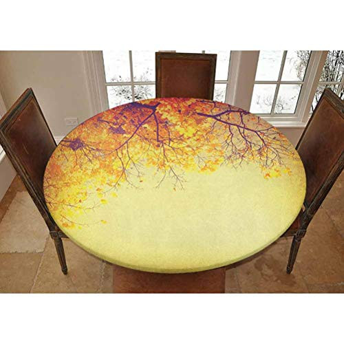 Elastic Polyester Fitted Table Cover,Retro Style Faded Inspirational Autumn Photo with Distressed Effects Bohemian Decorative Fitted Outdoor/Indoor Tablecolth, Fits Tables up to 36,Orange Yellow