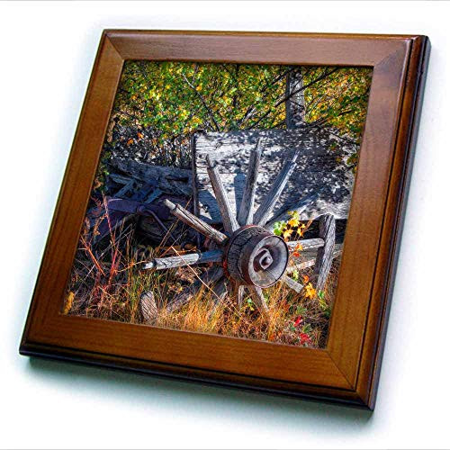 3dRose Mike Swindle Photography - Landscapes - Old Wagon Wheel - Framed Tiles -ft-330268-1- 3dRose Mike Swindle Photography - Landscapes - Old Wagon Wheel - Framed Tiles -ft-330268-1-