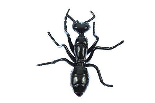 Miniblings Ant Ants Brooch Pin Badge Button Halloween Insekt