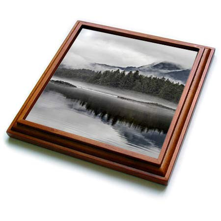 3dRose USA, Alaska, Tongass National Forest. Reflections in Mirror Harbor. - Trivets -trv-345819-1-