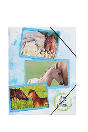 Pagna 21668-15 Elastic Folder A4 Foal Document Folder Polypropylene Elasticated Corners