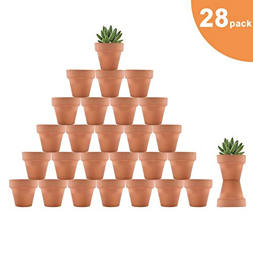 Riseuvo 28pcs Small Mini Clay Pots, 2'' Terracotta Pot Clay Ceramic Pottery Planter, Cactus Flower Terra Cotta Pots, Succulent Nursery Pots, with Drainage Hole, for Indoor/Outdoor Plants, Crafts
