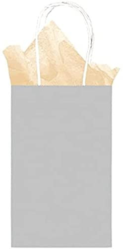 amscan Silver Solid Kraft Bag Cub - 12 Ct.
