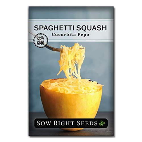 Sow Right Seeds - Spaghetti Squash Seed for Planting  - Non-GMO Heirloom Packet with Instructions to Plant a Home Vegetable Garden