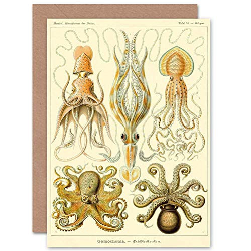 Wee Blue Coo Nature Ernst Haeckel Octopus Biology Germany Blank Greetings Card