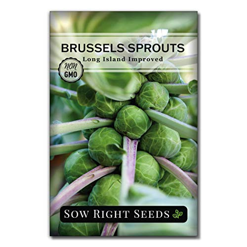 Sow Right Seeds - Long Island Improved Brussels Sprouts Seed for Planting  - Non-GMO Heirloom Packet with Instructions to Plant a Home Vegetable Garden