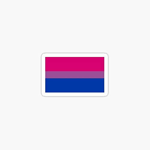 bi Pride Sticker - Sticker Graphic - Auto, Wall, Laptop, Cell, Truck Sticker for Windows, Cars, Trucks