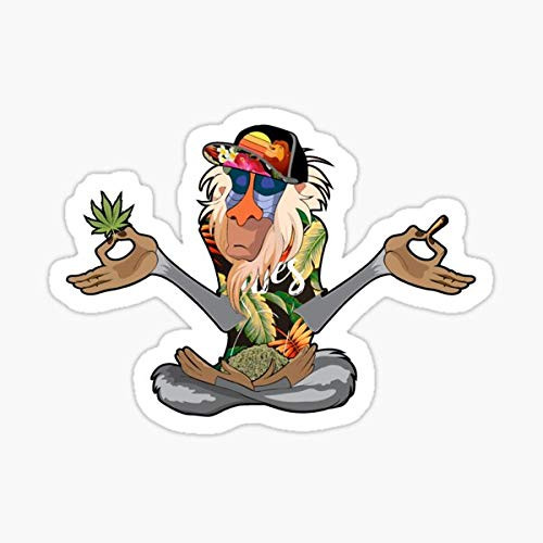 Rafiki Vibes Sticker - Sticker Graphic - Auto, Wall, Laptop, Cell, Truck Sticker for Windows, Cars, Trucks