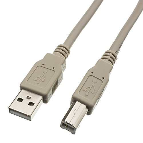 1 feet USB 2.0 Printer/Device Cable, Beige, Type A Male/Type B Male Plug, A Male to B Male High Speed USB Cable, USB 2.0 to Type B Cable, Type B Printer Cable, CableWholesale