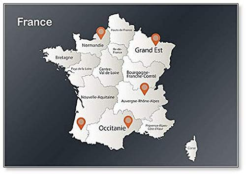 France Map, Infographics Flat Design Colors Snow White, Fridge Magnet