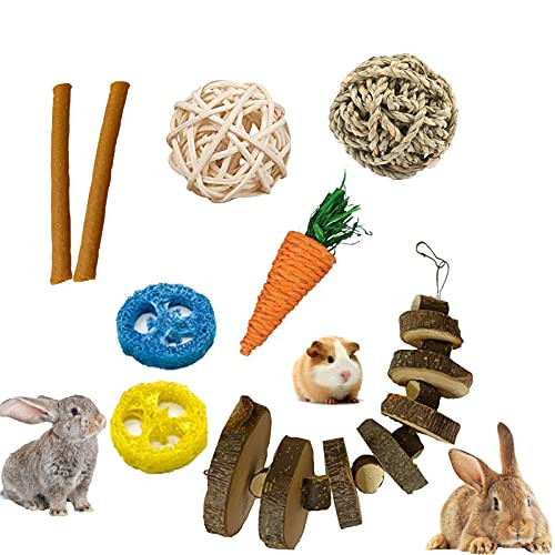 1SUNQL Bunny Molar Toy Natural Apple Wood Chips, Rolling Toys, Carrot Toys and Sticks, Teeth Cleaning Loofah, Chew Toys for Rabbits Chinchilla Hamsters Guinea Pigs Gerbils Groundhog Squirrels