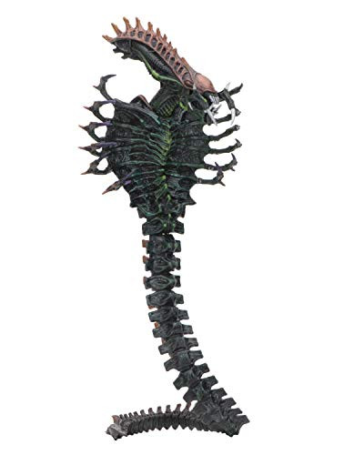 NECA - Aliens - 7" Scale Action Figure - Series 13 Snake