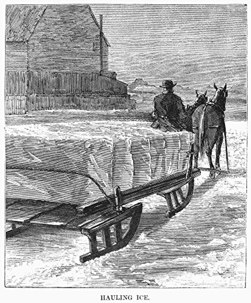 Cutting Ice 1870 Nhauling Blocks Of Ice Cut From A Lake In Minnesota For Refrigeration Wood Engraving American 1870 Poster Print by (18 x 24) Cutting Ice 1870 Nhauling Blocks Of Ice Cut From A Lake In Minnesota For Refrigeration Wood Engraving American 1870 Poster Print by (18 x 24)