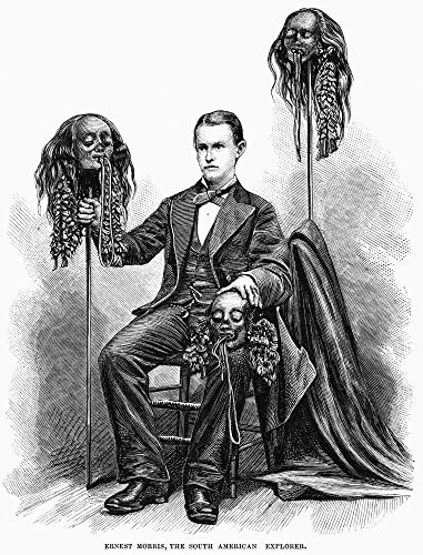 Shrunken Heads 1877 Nernest Morris An Explorer Of South America Poses With Shrunken Heads From The Upper Amazon Region Wood Engraving American 1877 Poster Print by (18 x 24)