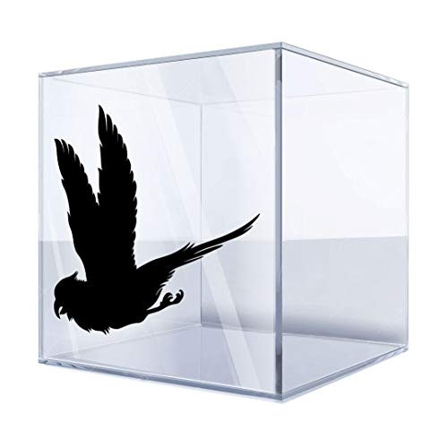 Sticker Decal Parrot Figure 4 X 3,5