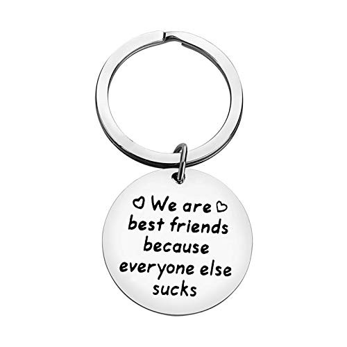 Best Friend Keychain,Friendship Gift for Women Men BFF Gift for Sisters Brothers Best Friend Christmas Birthday Gift for Best Friend,Friendship Keychain We are Best Friends Jewelry for Teen Girls Boys