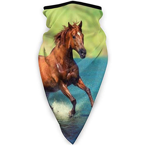 Wild Horse Headband Face Mask Bandana Head Wrap Scarf Neck Warmer Headwear Balaclava For Sports
