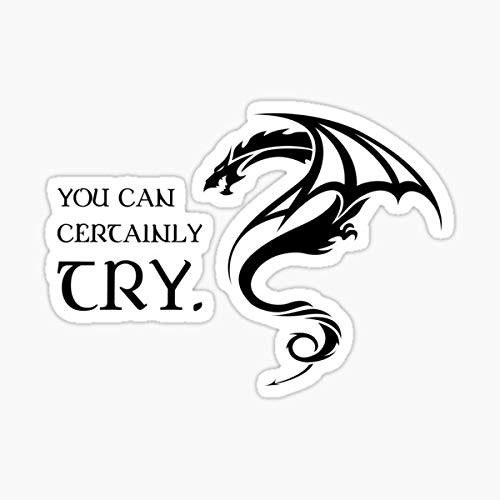 Pack of 2 3 Inch Sticker Pack - You Can Certainly Try Sticker - Sticker Graphic Dye Cut Sticker Graphic - Peel and Stick