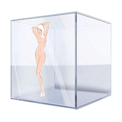 DT Stickers Decals Decal Beautiful Female Naked Figure 6 X 1,9