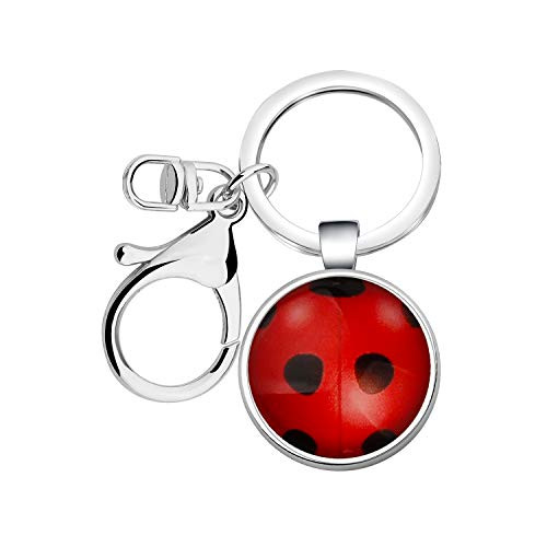WSNANG Good Luck Ladybug Jewelry Ladybug Gift Ladybug Lover Gift Insect Lover Gift Wish Lucky Gift for Women Girl -Keychain- WSNANG Good Luck Ladybug Jewelry Ladybug Gift Ladybug Lover Gift Insect Lover Gift Wish Lucky Gift for Women Girl -Keychain-
