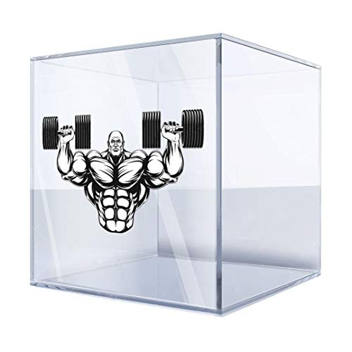 DT Stickers Decals Decal Bodybuilder Figure 3 X 1,7