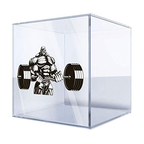 Sticker Decals Bodybuilder Figure 6 X 3,4