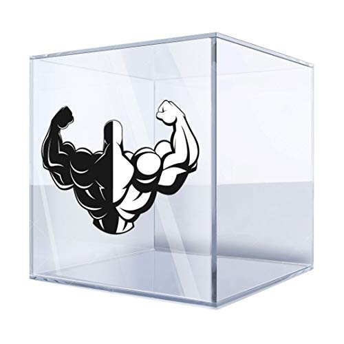 Sticker Decals Bodybuilder Figure 6 X 3,8