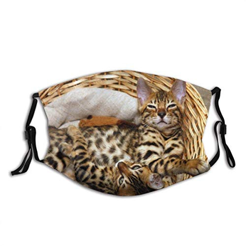 Adult Mask Neanderthal Uncivilized Human Figures with Mammals Print Stones Fabric Cotton Face Masks Washable Cloth Masks for Men Women Cycling Camping Travel Adult Mask Neanderthal Uncivilized Human Figures with Mammals Print Stones Fabric Cotton Face Masks Washable Cloth Masks for Men Women Cycling Camping Travel