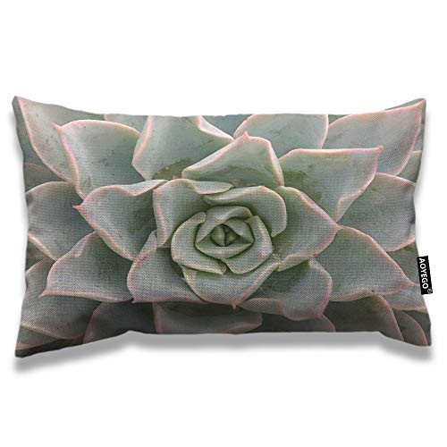 AOYEGO Cactus Throw Pillow Cover 12x20 Inch Cactus Flower Desert Plants Botany Rectangle Pillow Cases Home Decorative Cotton Linen Cushion Cover for Bed Sofa Green AOYEGO Cactus Throw Pillow Cover 12x20 Inch Cactus Flower Desert Plants Botany Rectangle Pillow Cases Home Decorative Cotton Linen Cushion Cover for Bed Sofa Green