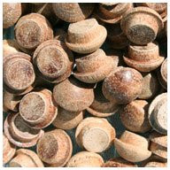 WidgetCo 5/16" Mahogany Button Top Wood Plugs