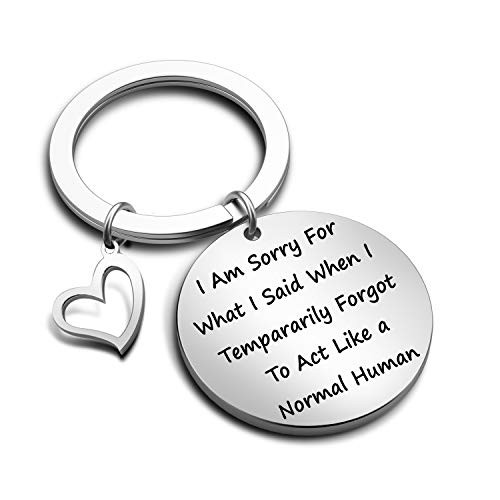 Apology Gift Sorry Jewelry I'm Sorry for What I Said Keychain Gift for Apologizing Sorry Gift-sorry what i said KR-