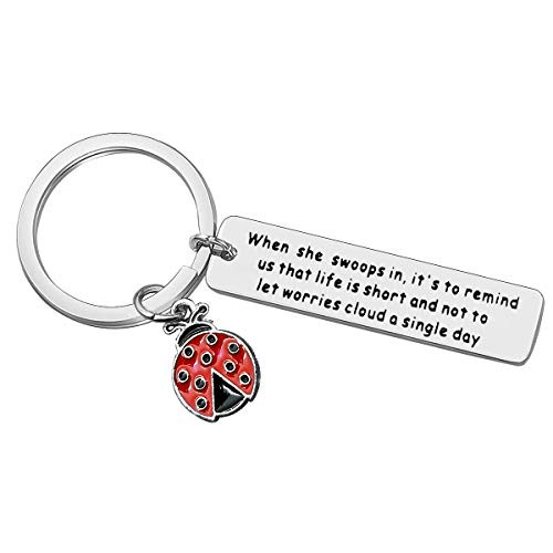 Funny Ladybug Lover Gift Inspirational Jewelry Keychain for Women Girls Teens Ladybug Jewelry Keychain Jewelry Encouragement Gift Graduation Anniversary Christmas Birthday Gifts for Women Men Friend Funny Ladybug Lover Gift Inspirational Jewelry Keychain for Women Girls Teens Ladybug Jewelry Keychain Jewelry Encouragement Gift Graduation Anniversary Christmas Birthday Gifts for Women Men Friend