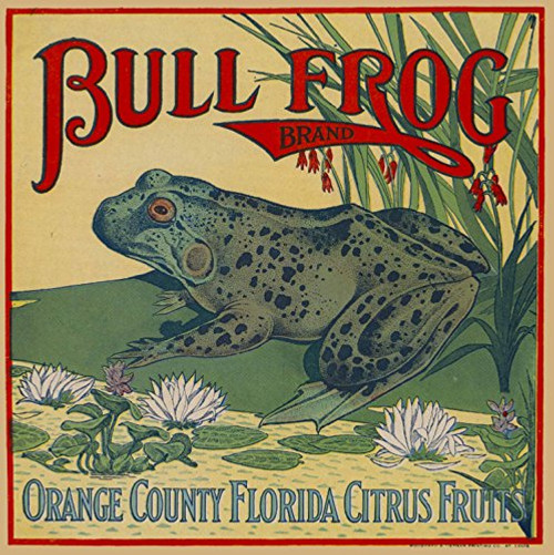 A SLICE IN TIME Orange County, Florida - Vintage Bull Frog Brand Frog Orange Citrus Fruit Crate Box Label Travel Advertising Art Print. Label Print Measures 10 x 10 inches