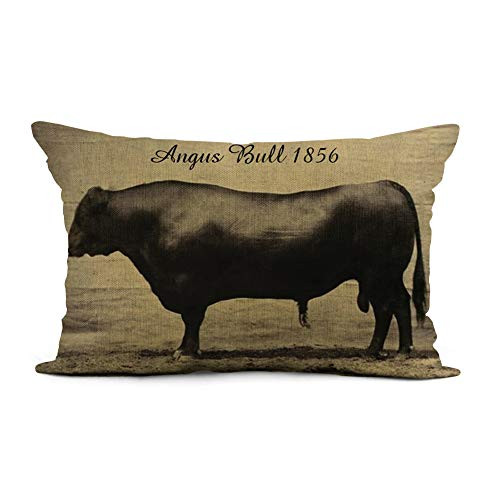 Topyee Throw Pillow Cover 12x20 Inch Beef Vintage Angus Bull Paris Black Cow Home Decor Pillowcase Lumbar Pillow Case Cushion Cover for Sofa Couch Bed